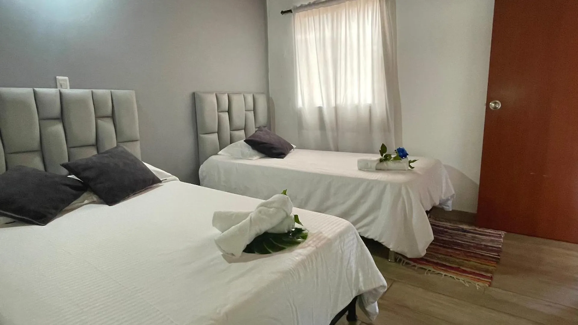 Homer Colors - Tu Hogar En Medellin Para 20 Personas