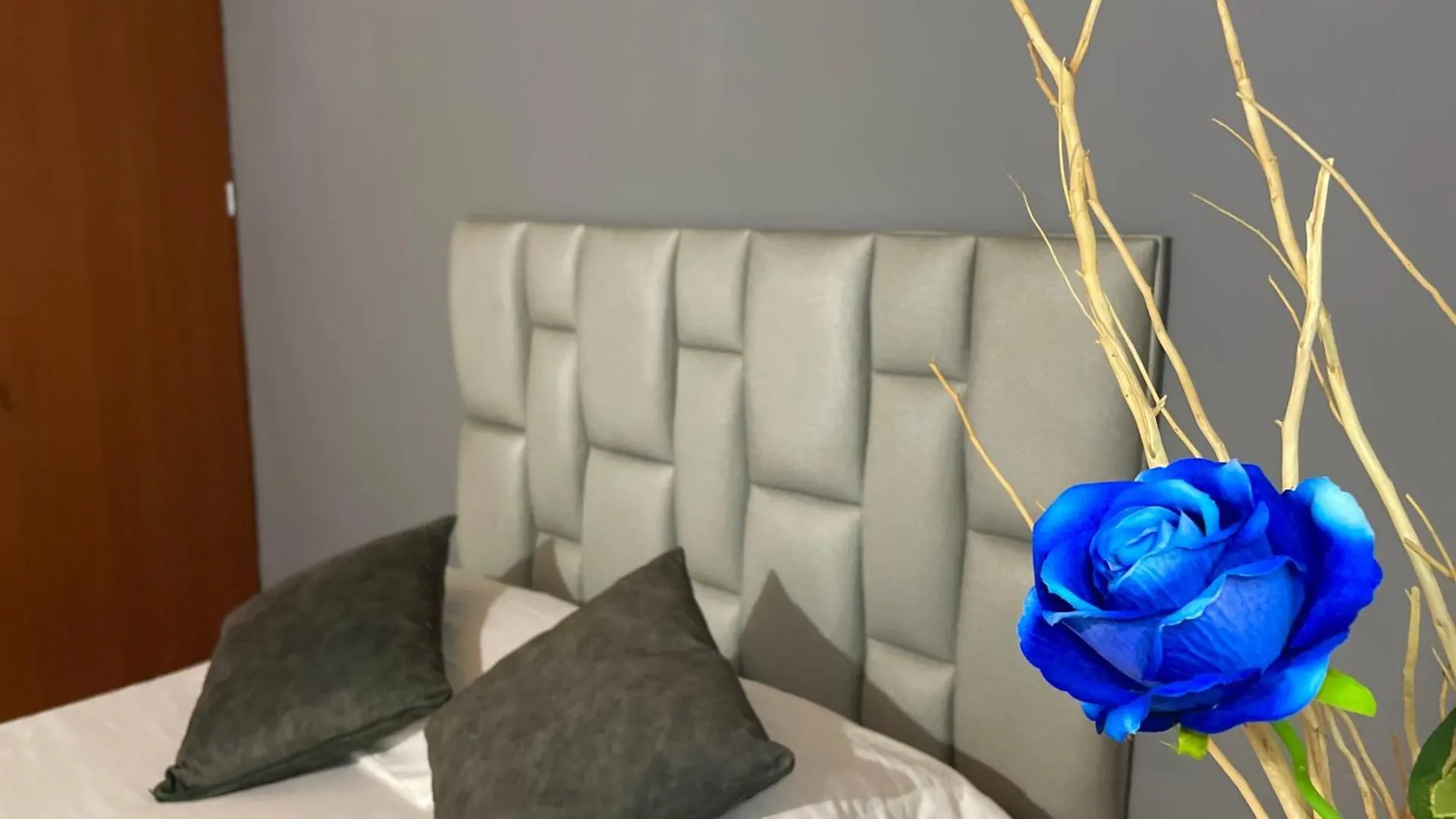 Penzion Homer Colors - Tu Hogar En Medellin Para 20 Personas