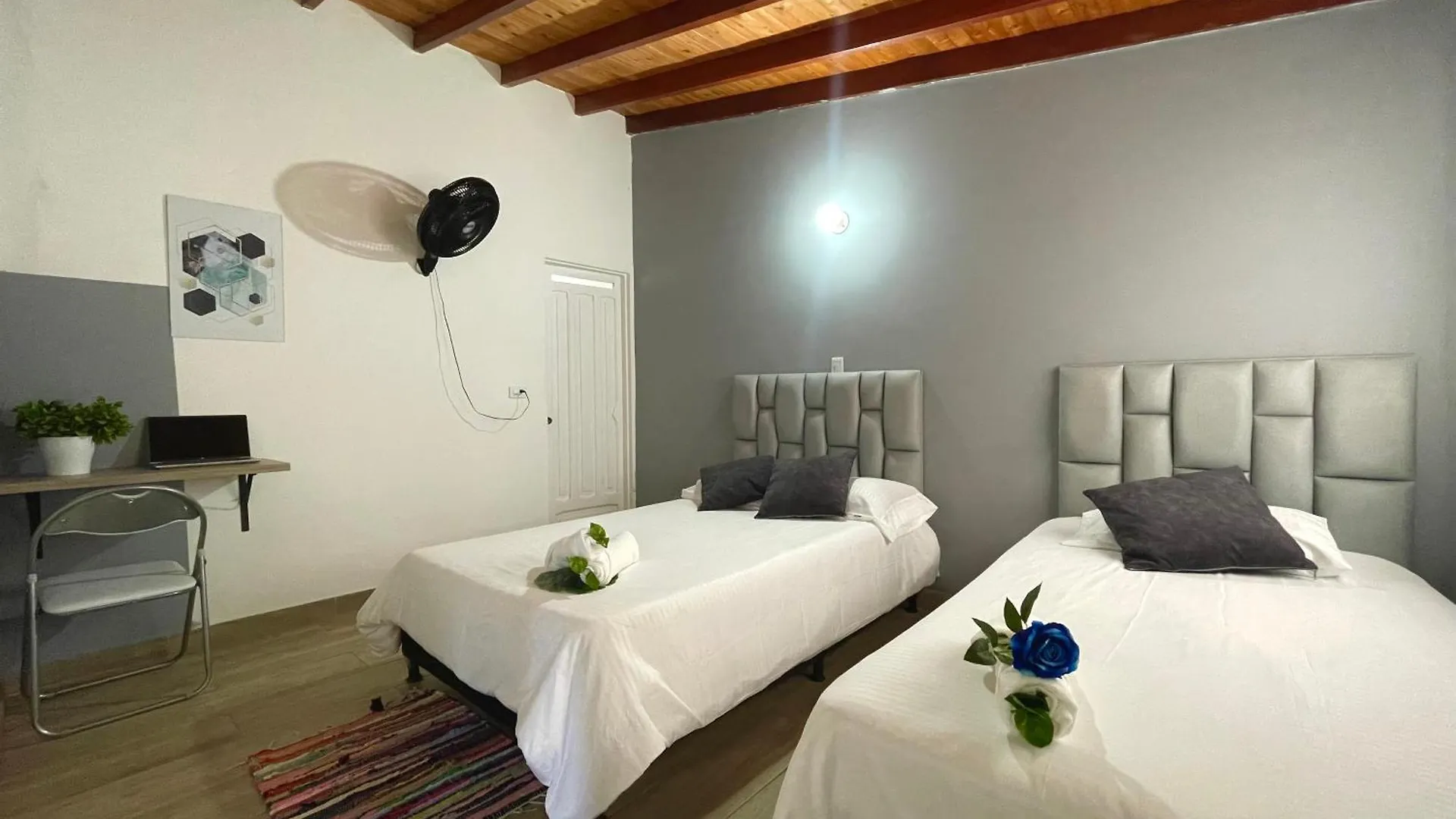 Homer Colors - Tu Hogar En Medellin Para 20 Personas Penzion