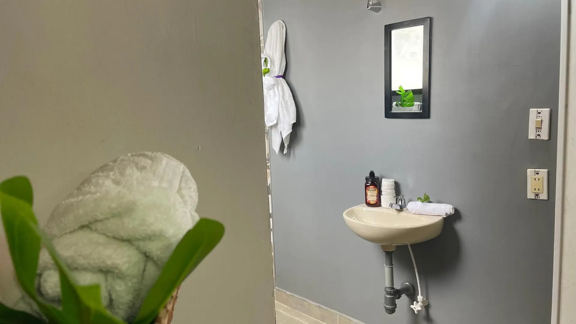 Guest house Homer Colors - Tu Hogar En Medellin Para 20 Personas