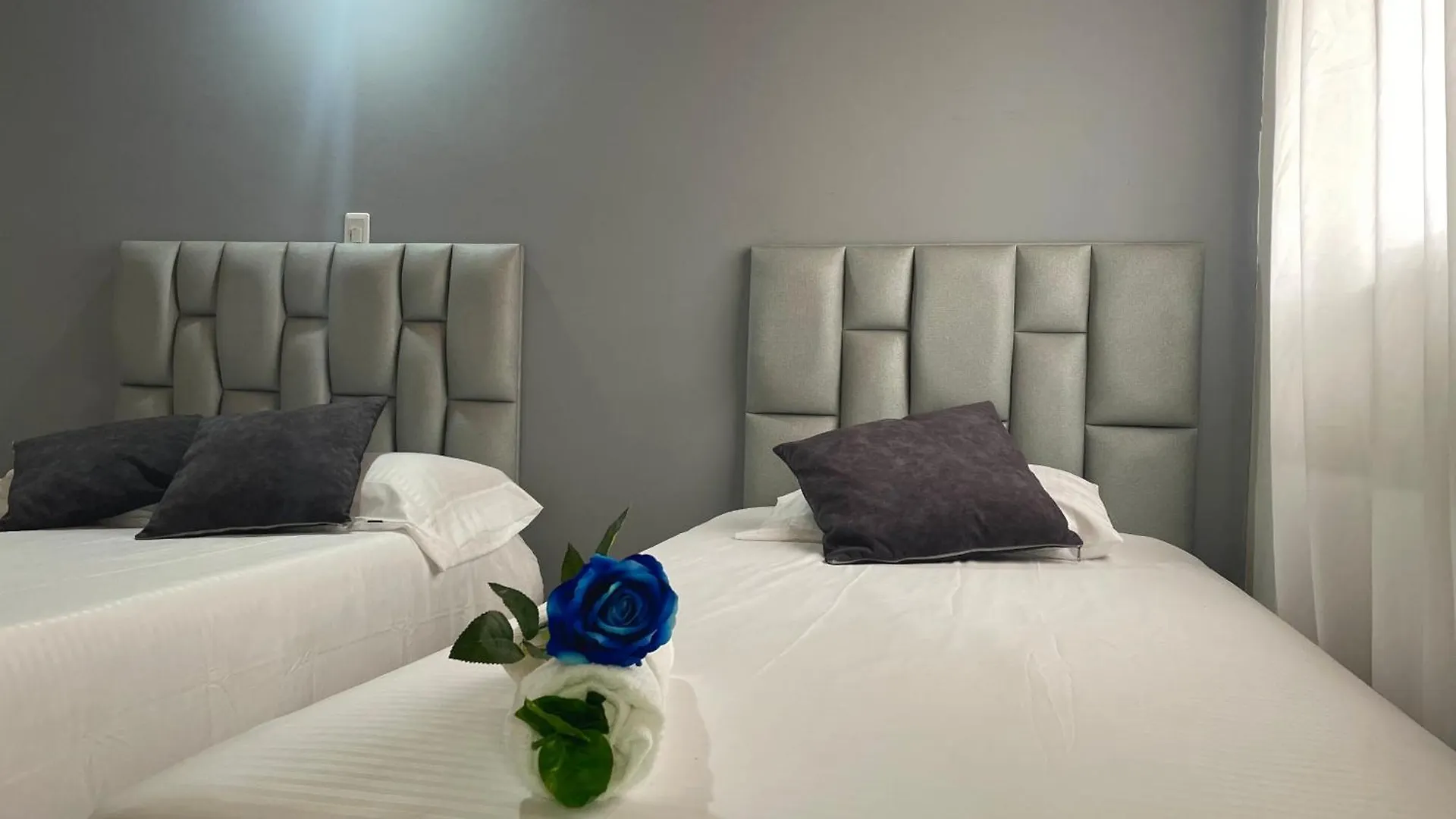 Homer Colors - Tu Hogar En Medellin Para 20 Personas Guest house