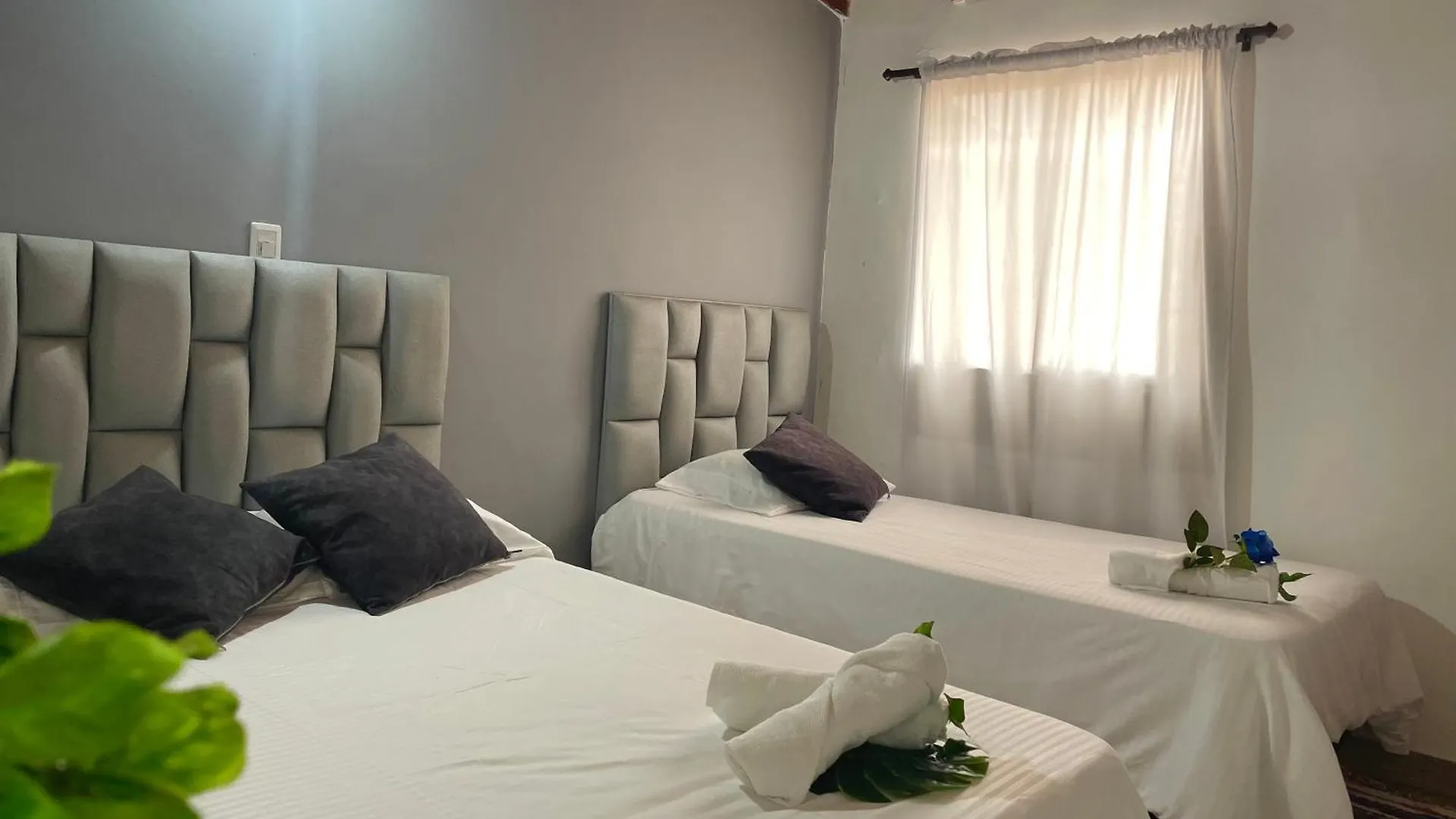 Homer Colors - Tu Hogar En Medellin Para 20 Personas 0*,