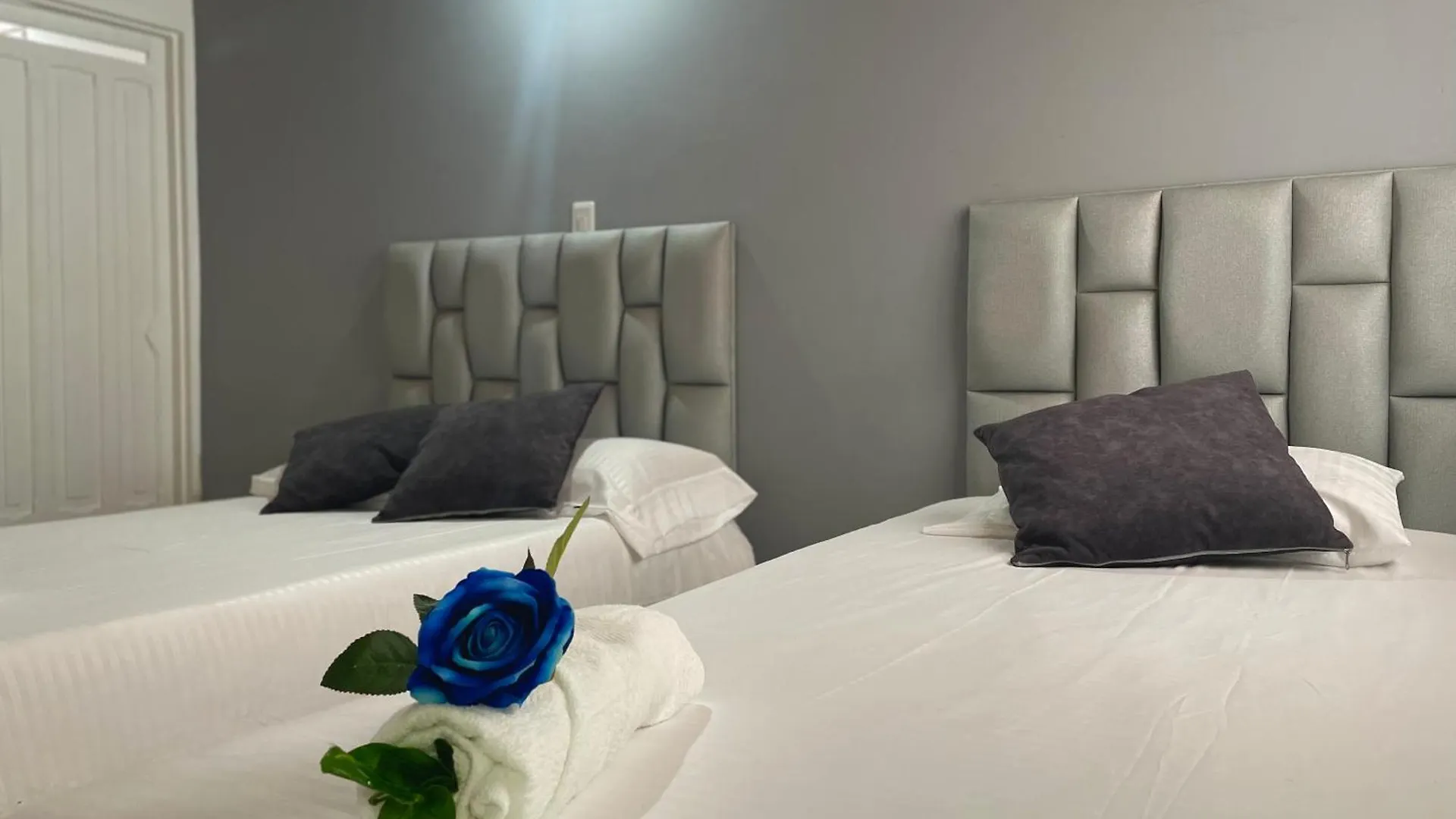 Guest house Homer Colors - Tu Hogar En Medellin Para 20 Personas